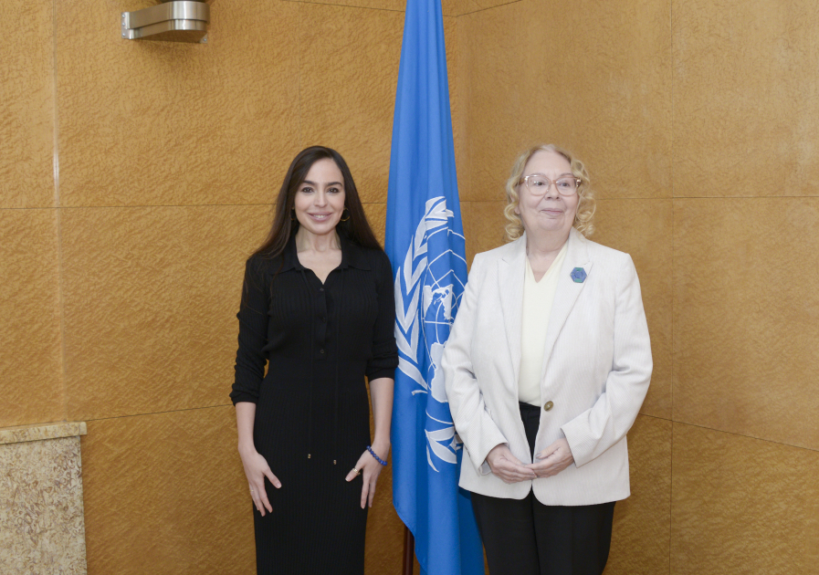 Leyla Əliyeva BMT-nin Cenevrədəki ofisinin baş direktoru ilə görüşüb - FOTO Leyla Əliyeva BMT-nin Cenevrədəki ofisinin baş direktoru ilə görüşüb - FOTO