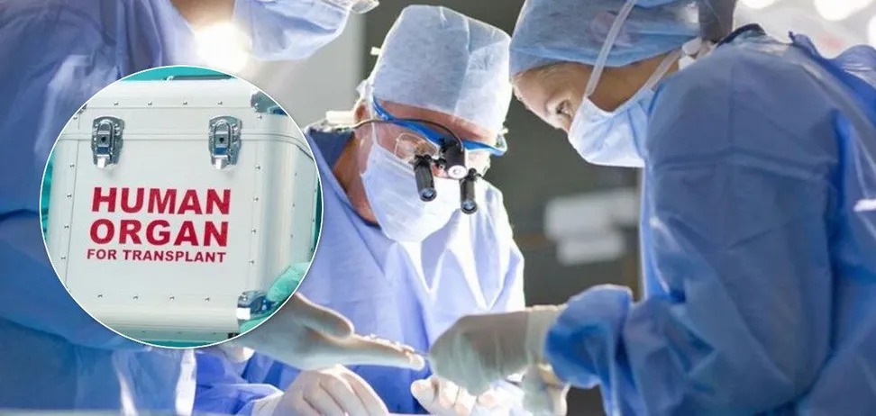 Azərbaycanda mindən çox şəxsin donora ehtiyacı var – RƏSMİ Azərbaycanda mindən çox şəxsin donora ehtiyacı var – RƏSMİ