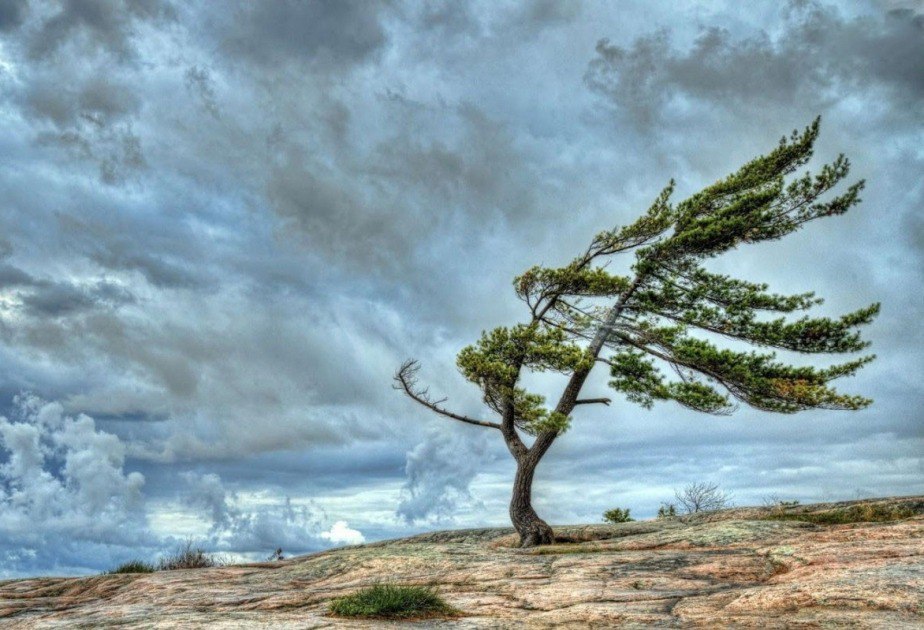 Küləkli hava şəraiti ilə bağlı sarı xəbərdarlıq VERİLDİ