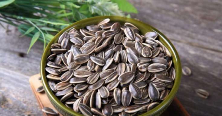 Tum çırtdamağın FAYDALARI