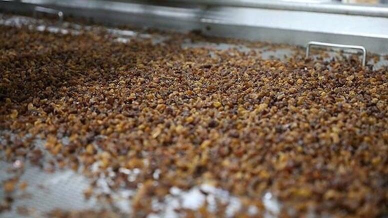 Yaponların güclü yaddaşının sirri: Azərbaycanda üzünə baxmırlar