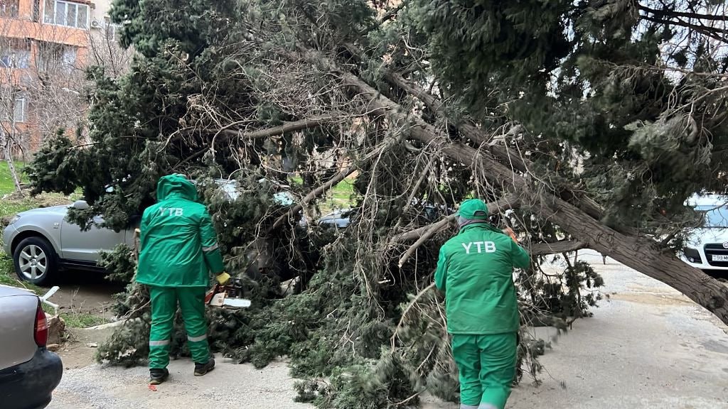 Bakıda güclü küləyin törətdiyi fəsadlar &ndash; FOTO