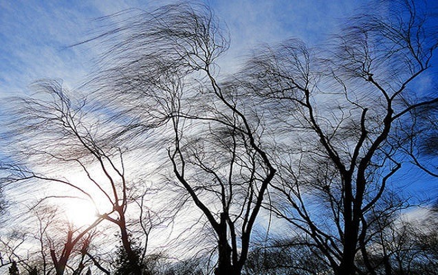 Ölkə ərazisində yağıntılı və küləkli hava davam edir - FAKTİKİ HAVA