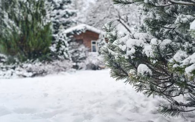 Bu əraziyə 36 sm qar yağıb - FAKTİKİ HAVA