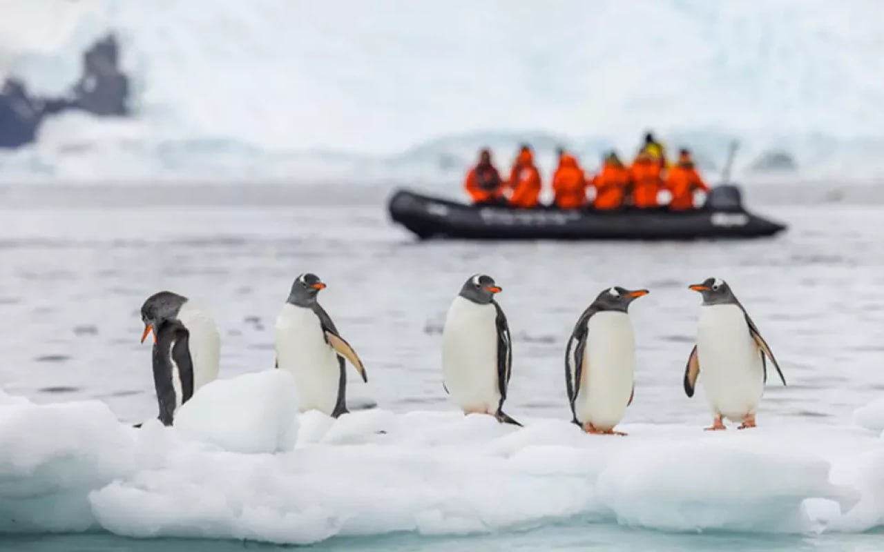 Antarktidada iş elanı - 70 min manat maaş, limitsiz yemək...
