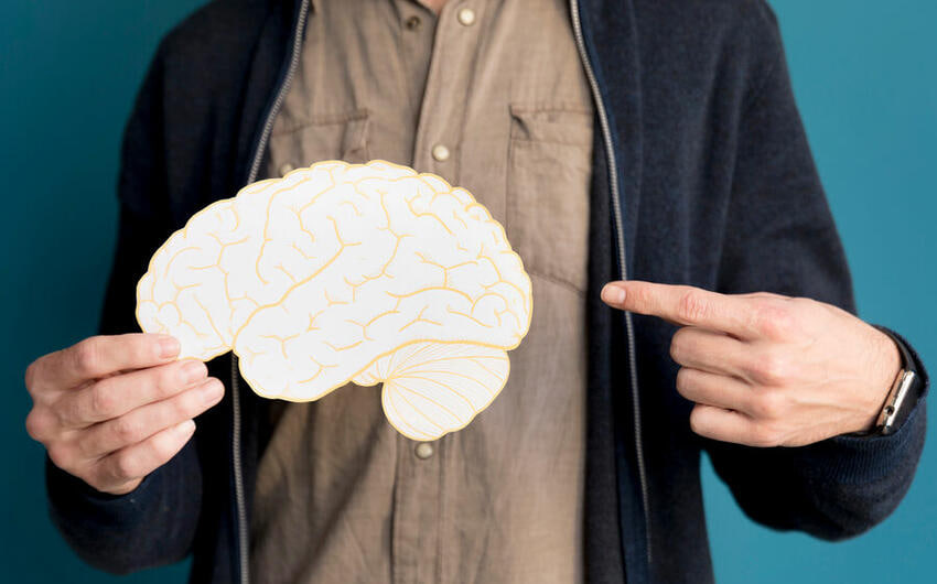 Beynin qocalması hansı yaşdan başlayır?