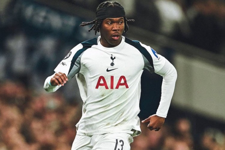 &ldquo;Tottenhem&rdquo;də CİDDİ İTKİ