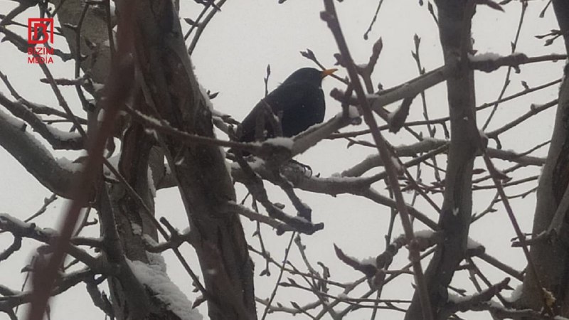 Bu bölgədə temperatur mənfi 6 dərəcəyə endi &ndash; FOTO/VİDEO