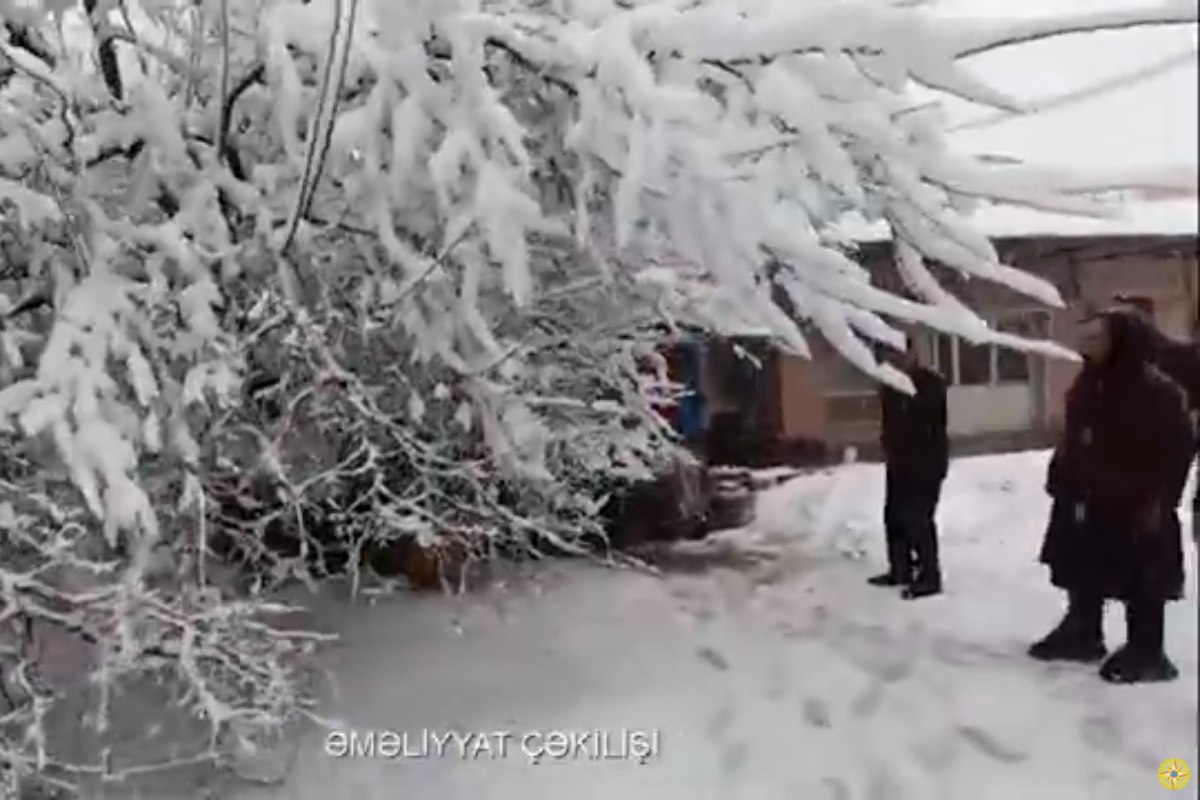 Cəlilabadda güclü qar ağacı 60 yaşlı qadının üzərinə aşırdı &ndash; VİDEO