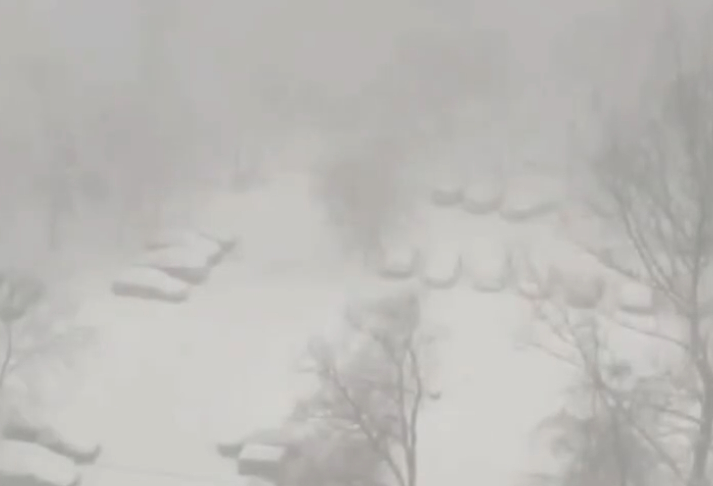 Moskva hava limanlarında təxminən 50 reys GECİKİR - VİDEO