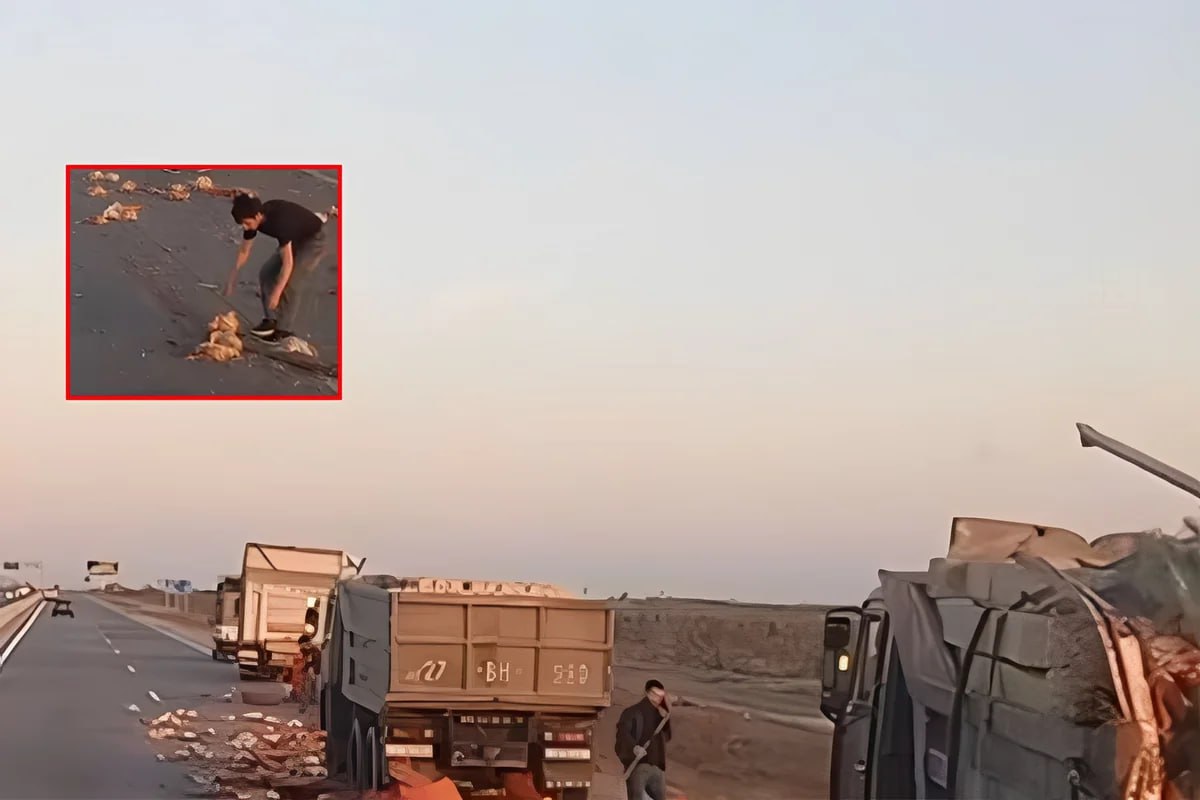 Bakı-Quba yolunda yük avtomobilləri toqquşdu - Toyuqlar yola dağıldı - VİDEO