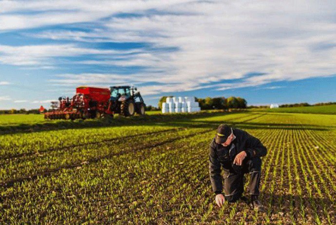 Fermerlərə ŞAD XƏBƏR!