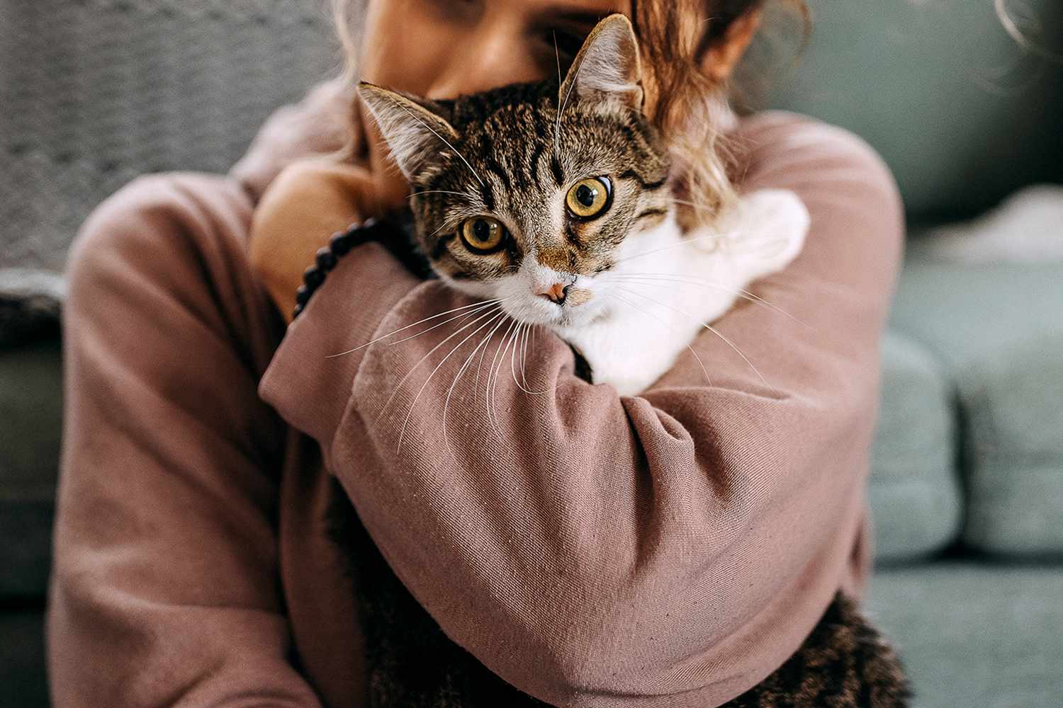 Kişi arvadını döydü - Pişik saxlayırmış