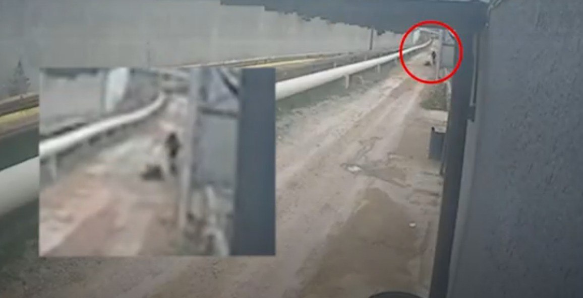 Bakıda bərbər müştərisinin təqaüdünü taladı: Başına polietilen torba keçirib... &ndash; ANBAAN VİDEO - FOTO