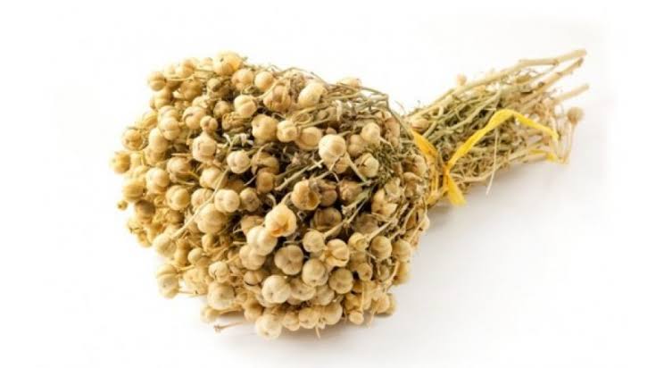 AZAL-dan Rusiyaya üzərlik bitkisi aparan vətəndaşlara XƏBƏRDARLIQ AZAL-dan Rusiyaya üzərlik bitkisi aparan vətəndaşlara XƏBƏRDARLIQ