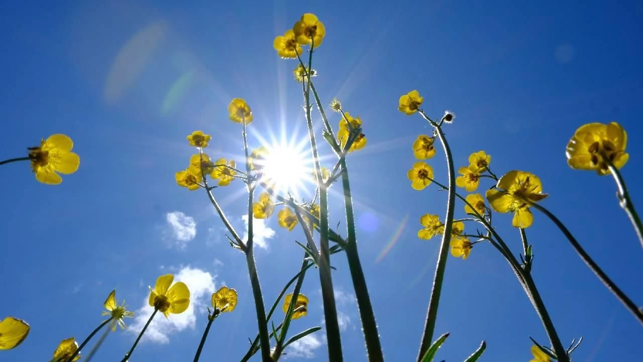 Faktiki hava AÇIQLANDI: Bakıda 26 dərəcə isti... Faktiki hava AÇIQLANDI: Bakıda 26 dərəcə isti...