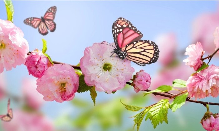 Azərbaycana yaz fəsli BU TARİXDƏ daxil olacaq &ndash; Saat AÇIQLANDI