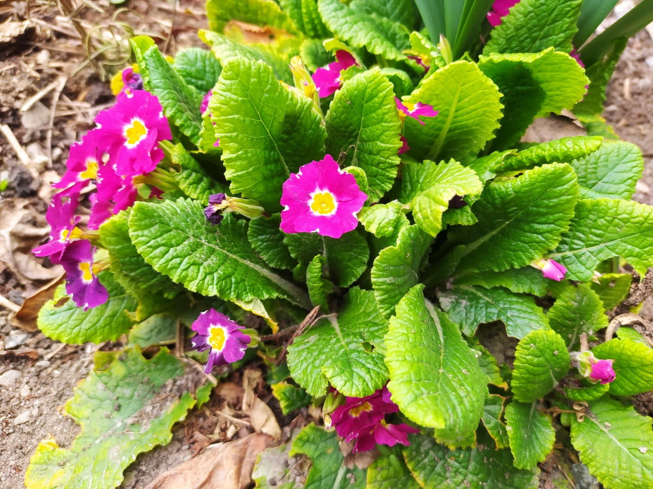 Bu bölgəmizdə temperatur yenidən aşağı endi - FOTO