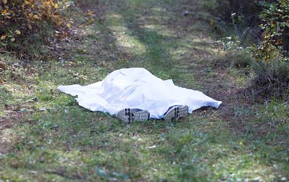 Ağstafada fermadan meyit tapıldı