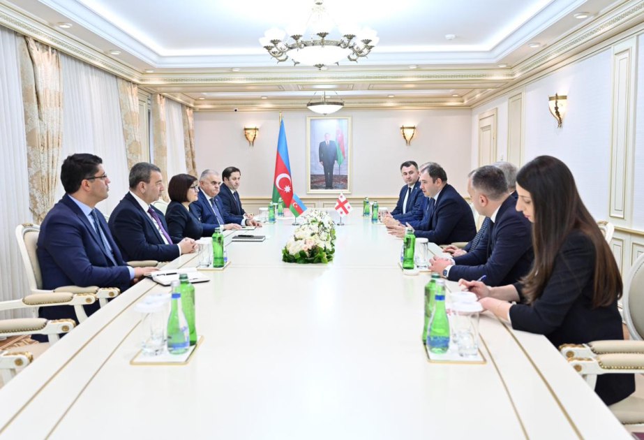 Azərbaycan-Gürcüstan parlamentlərarası münasibətləri müzakirə olundu