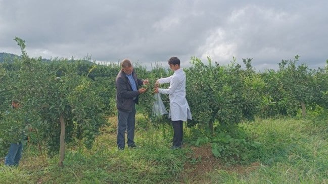 Normadan isti FEVRAL – Zərərvericilərin sayı ARTIR? Normadan isti FEVRAL – Zərərvericilərin sayı ARTIR?