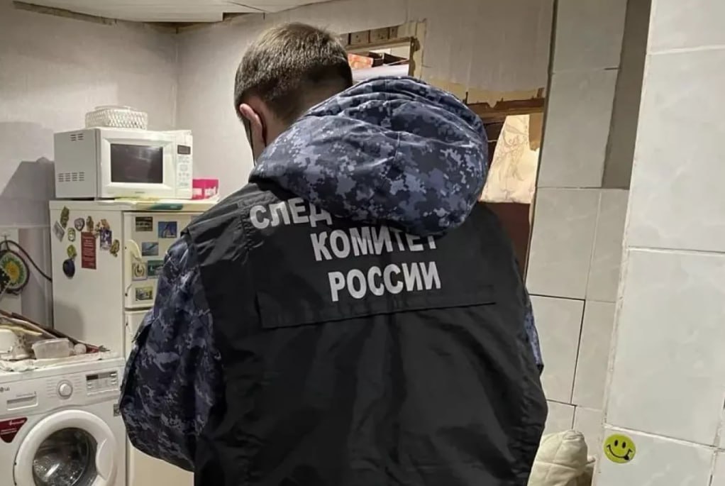 Yeniyetmə anasını öldürdü, meyiti zirzəmidə gizlətdi