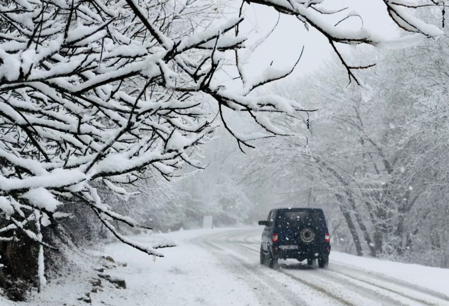 Lerikdə qar YAĞIR - FOTO