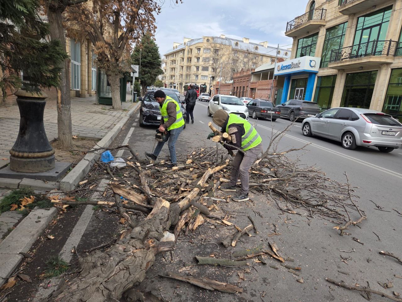 Gəncədə güclü külək ağacları aşırdı – FOTO Gəncədə güclü külək ağacları aşırdı – FOTO