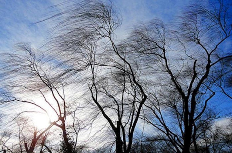 Biləsuvarda külək fəsadlar TÖRƏTDİ