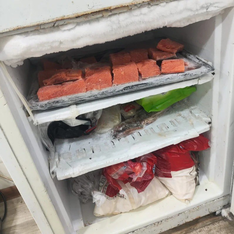 Bakıda suşi emalı müəssisəsinin fəaliyyəti DAYANDIRILDI - FOTO Bakıda suşi emalı müəssisəsinin fəaliyyəti DAYANDIRILDI - FOTO