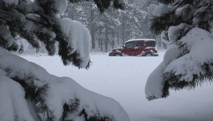 Qaxda qarın hündürlüyü 40 sm-ə ÇATDI – VİDEO Qaxda qarın hündürlüyü 40 sm-ə ÇATDI – VİDEO