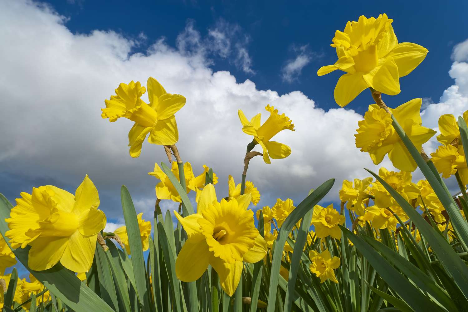 Martın ilk iş günündə hava necə olacaq? Martın ilk iş günündə hava necə olacaq?