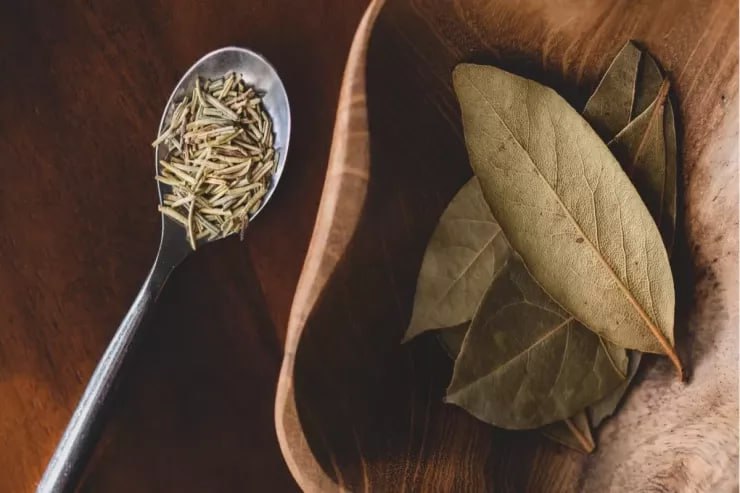 Mart ayının 4 günündə dəfnə yarpağı yandırın: həyatınız kəskin dəyişə bilər Mart ayının 4 günündə dəfnə yarpağı yandırın: həyatınız kəskin dəyişə bilər