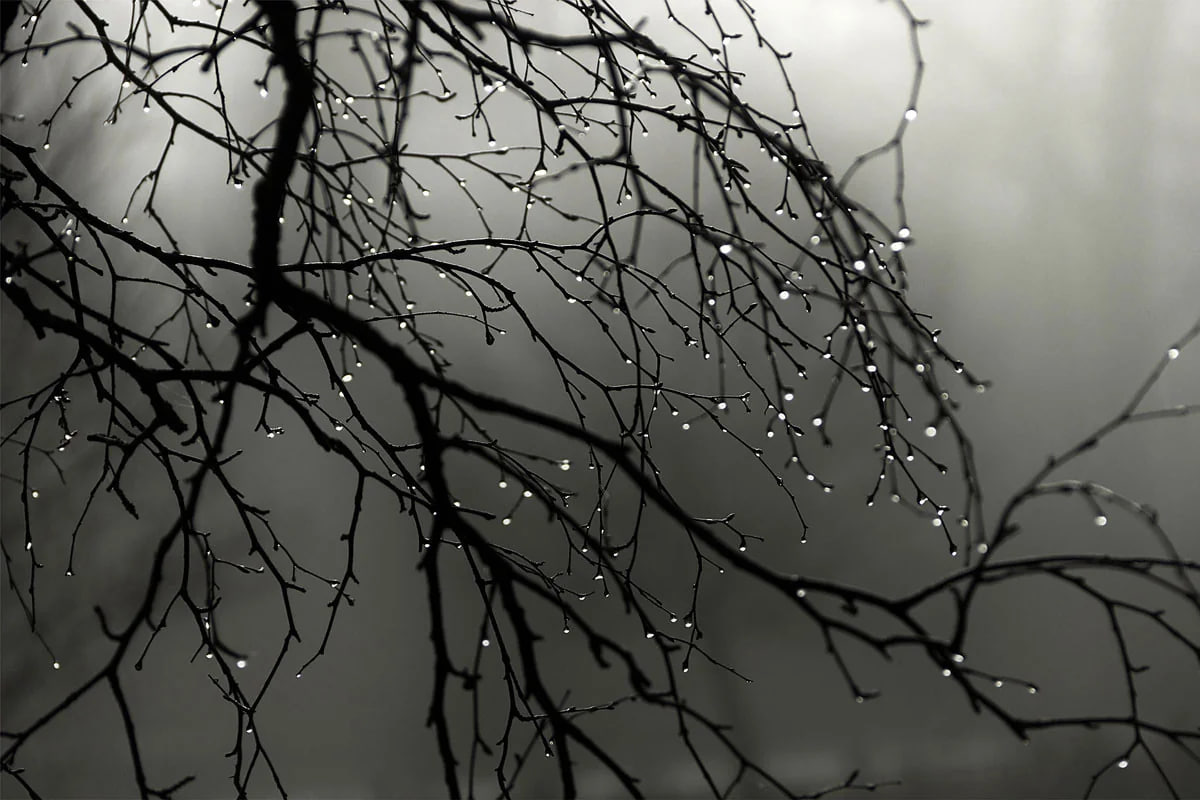 Növbəti 2 gün hava necə olacaq? Növbəti 2 gün hava necə olacaq?