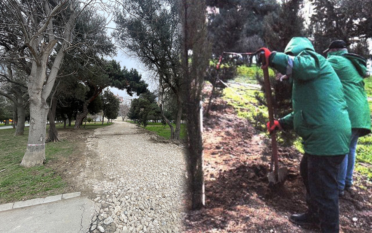 &ldquo;Zorge&rdquo; parkının içindən yol salınıb? &ndash; FOTO