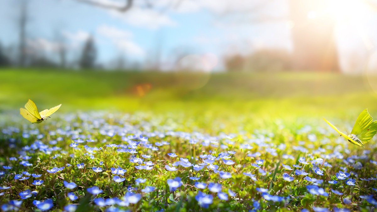 Sabahın HAVA PROQNOZU - 17 dərəcə isti olacaq Sabahın HAVA PROQNOZU - 17 dərəcə isti olacaq