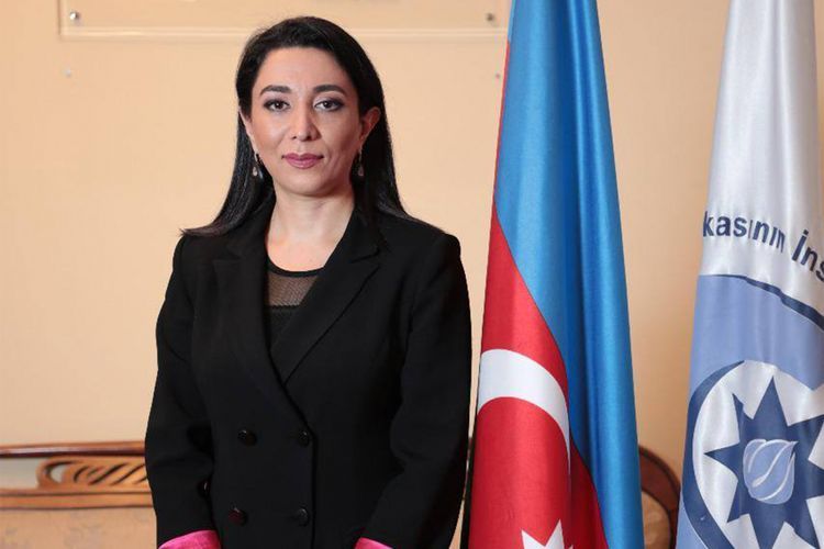 Ombudsman: &ldquo;Naxçıvana edilmiş dron hücumları qonşuluq prinsiplərinə ziddir&rdquo;