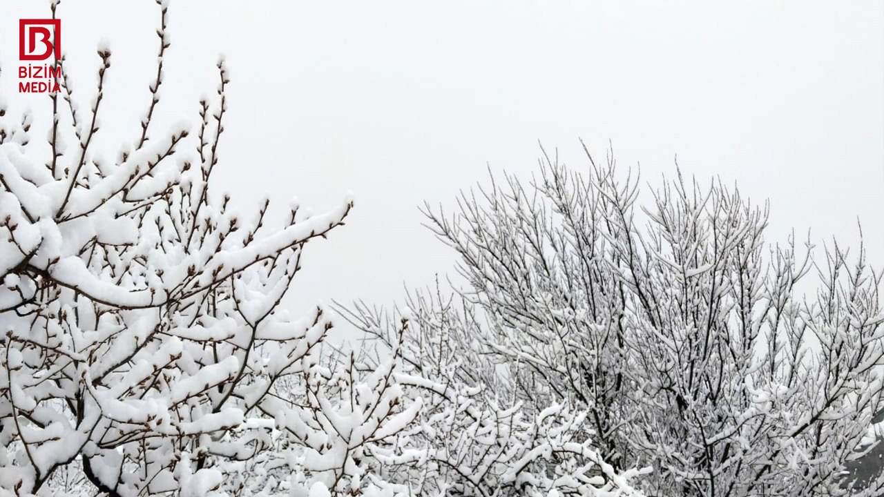Şəkiyə gedənləri bu mənzərə gözləyir &ndash; FOTO/VİDEO