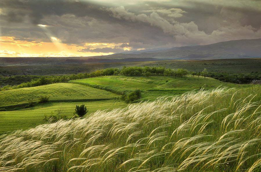 Bu gün Yel çərşənbəsidir Bu gün Yel çərşənbəsidir