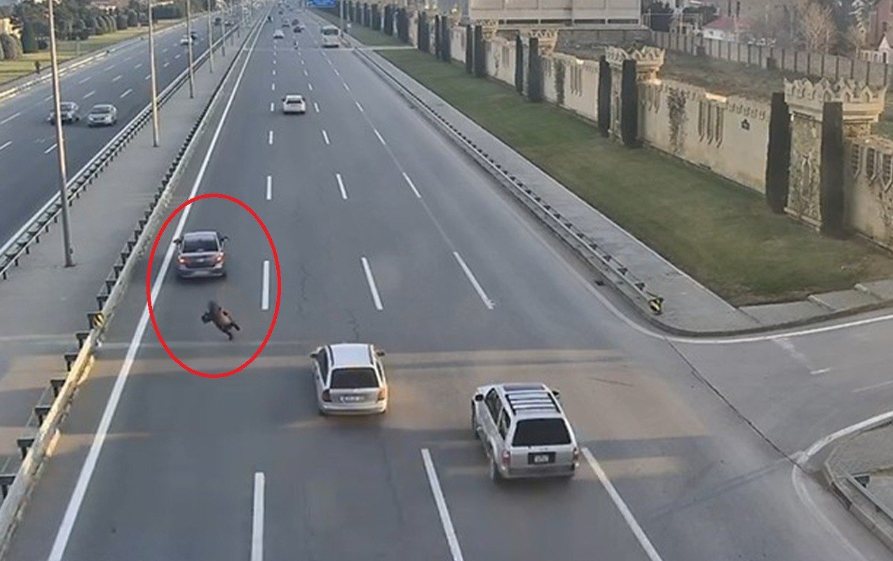 Maşın yola qaçan qadını vurdu &ndash; ANBAAN VİDEO