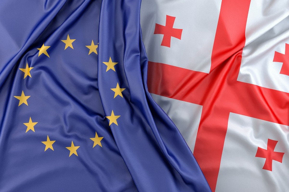 Avropa Parlamenti Gürcüstana qarşı növbəti qətnamə QƏBUL ETDİ