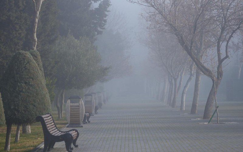 GÜNÜN HAVASI: 14 dərəcə isti, duman... GÜNÜN HAVASI: 14 dərəcə isti, duman...