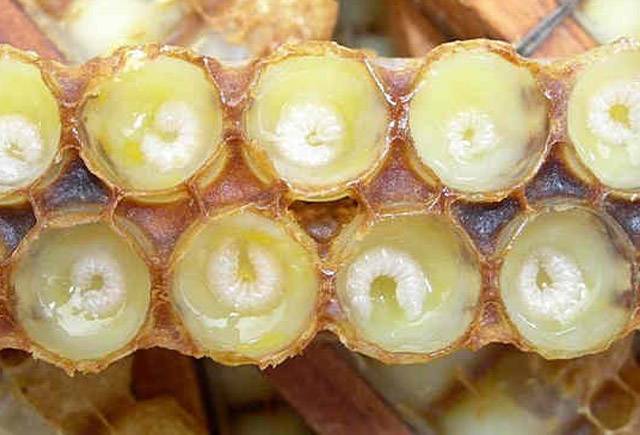 Azərbaycanda cəmi 254 kiloqram istehsal olunub, qramı 6.8 manata satılır