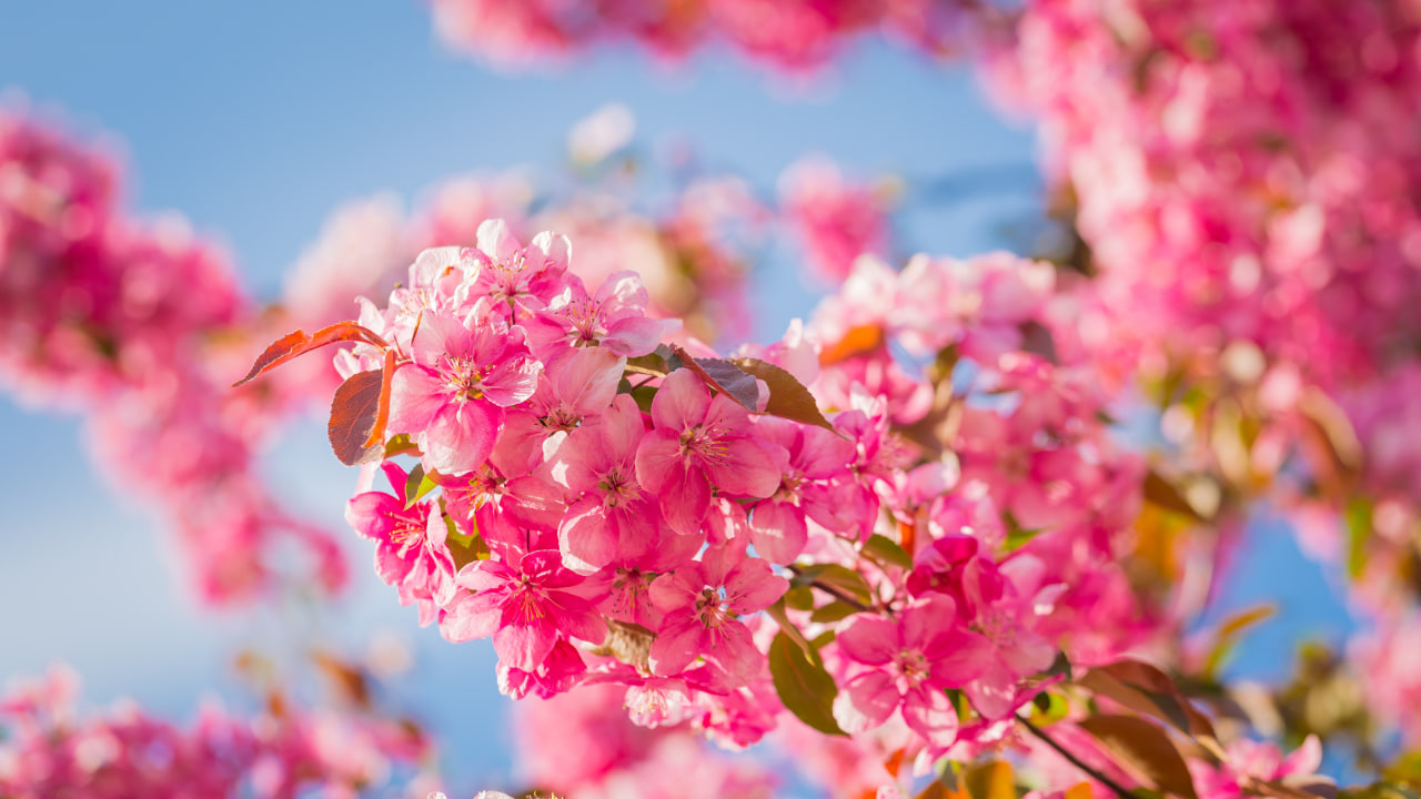 SABAHIN HAVASI: 17 dərəcə isti olacaq SABAHIN HAVASI: 17 dərəcə isti olacaq