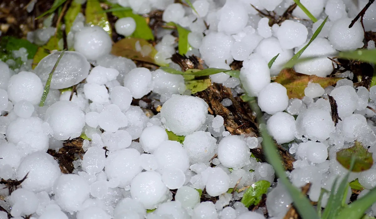 Bölgələrdə yağış yağacaq, dolu düşəcək - XƏBƏRDARLIQ Bölgələrdə yağış yağacaq, dolu düşəcək - XƏBƏRDARLIQ