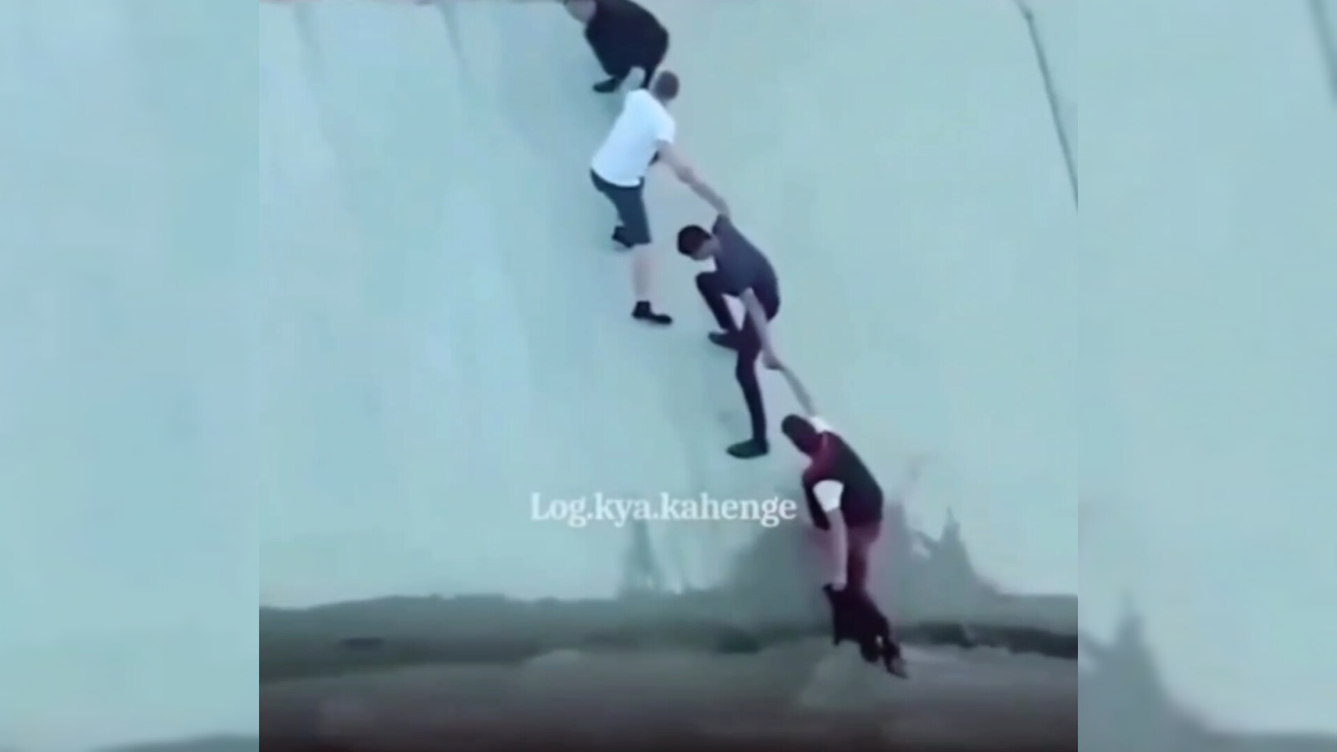 İti xilas edənlərə heykəl qoyuldu - VİDEO