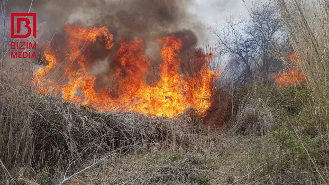 Göyçayda güclü yanğın – FOTO Göyçayda güclü yanğın – FOTO