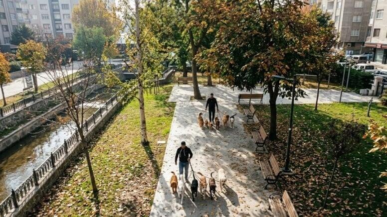 Gördüyü işdən ayda 7500 qazanır: Heç bir xərci yoxdur, qazancı özünə qalır Gördüyü işdən ayda 7500 qazanır: Heç bir xərci yoxdur, qazancı özünə qalır