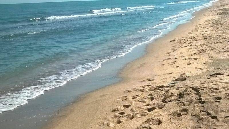 Xəzərin geri çəkilməsi balıqçıları çətin duruma saldı &ndash; VİDEO