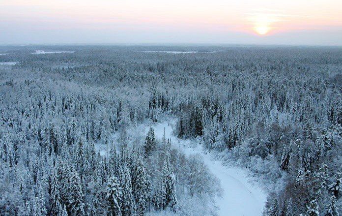 Cinayətkar Tayqa meşəsində gizləndi: 8 il sonra saxlanıldı